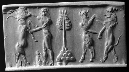 Cylinder_seal3